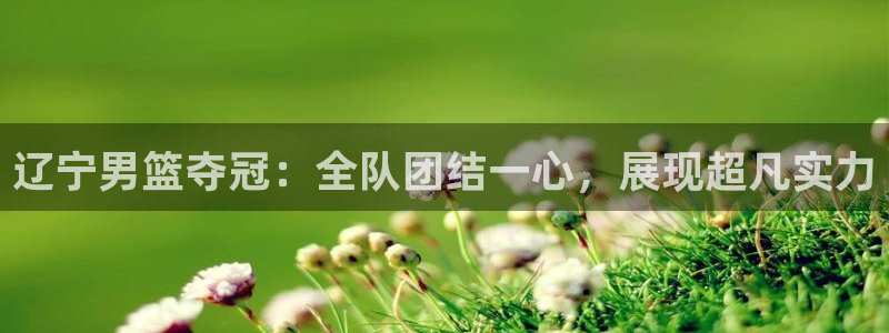 辽宁男篮夺冠：全队团结一心，展现超凡实力