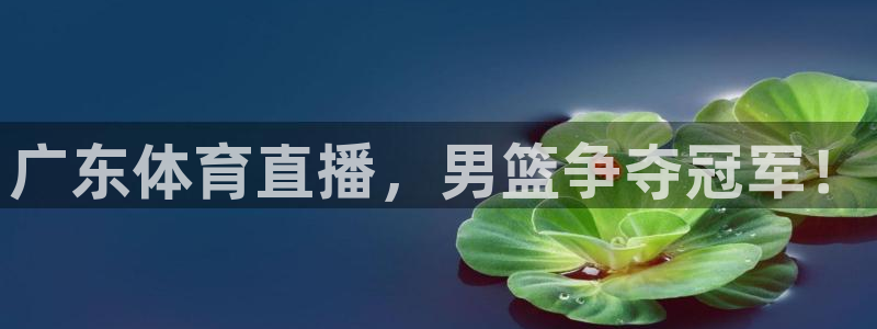 广东体育直播，男篮争夺冠军！