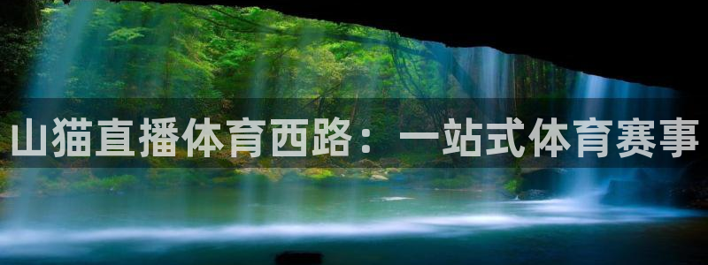 山猫直播体育西路：一站式体育赛事