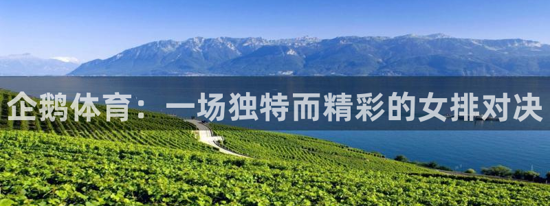 企鹅体育：一场独特而精彩的女排对决