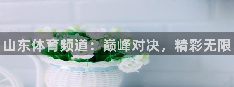 山东体育频道：巅峰对决，精彩无限