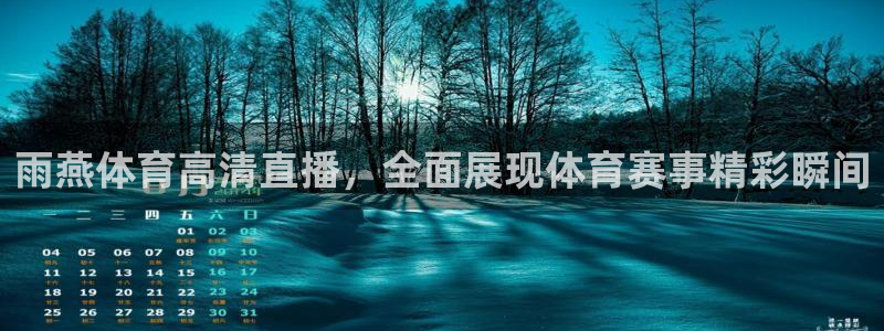 雨燕体育高清直播，全面展现体育赛事精彩瞬间