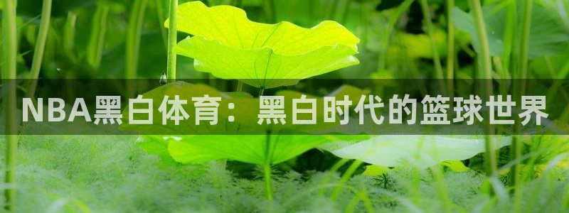 NBA黑白体育：黑白时代的篮球世界