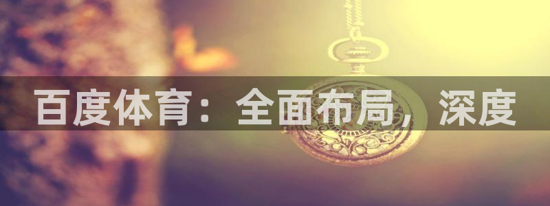百度体育：全面布局，深度