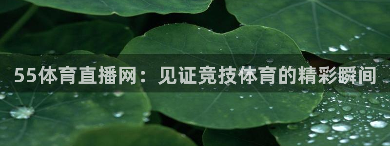 55体育直播网：见证竞技体育的精彩瞬间