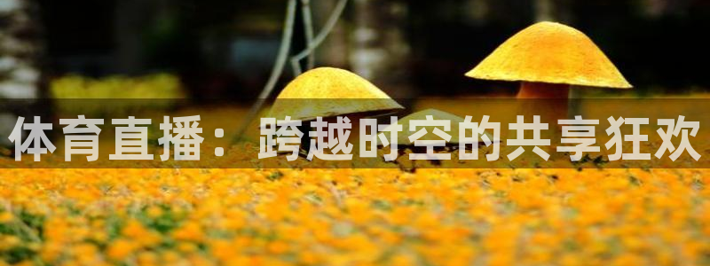 体育直播：跨越时空的共享狂欢
